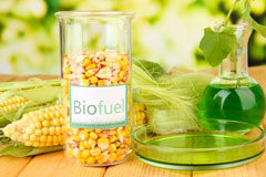 Maesteg biofuel availability